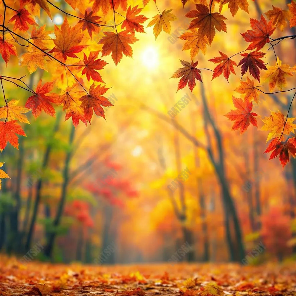 Gatsby Autumn Bokeh Forest Tree Photography Backdrop Gbsx-00922 - Gatsby Backdrop