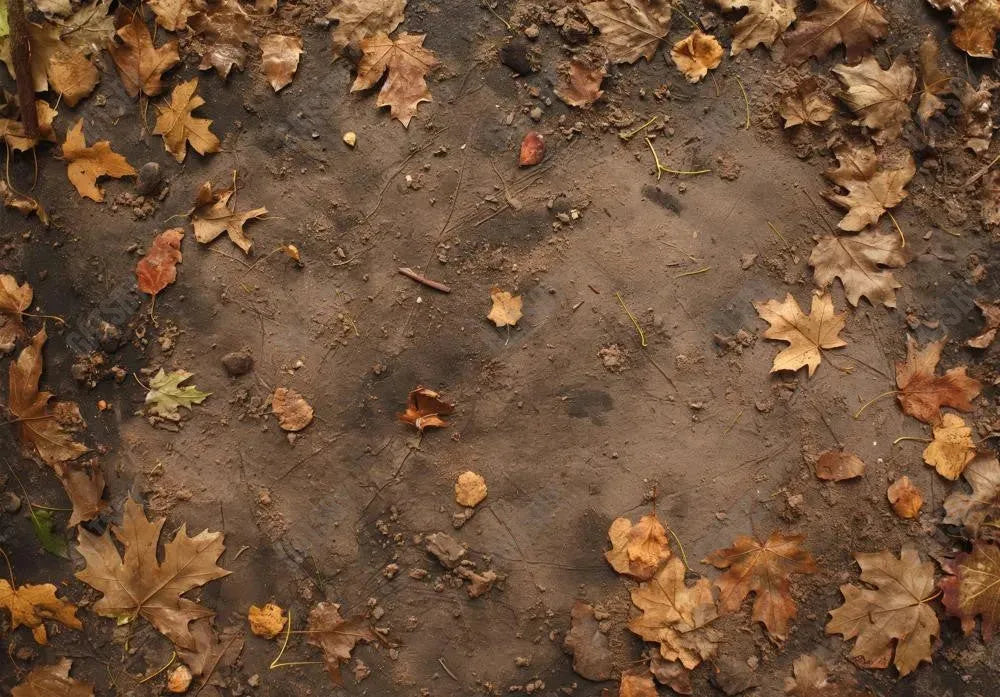 Gatsby Autumn Dirt Leaves Ground Photography Backdrop Gbsx-00945 - Gatsby Backdrop