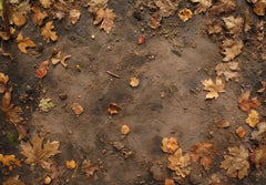 Gatsby Autumn Dirt Leaves Ground Photography Backdrop Gbsx-00945 - Gatsby Backdrop