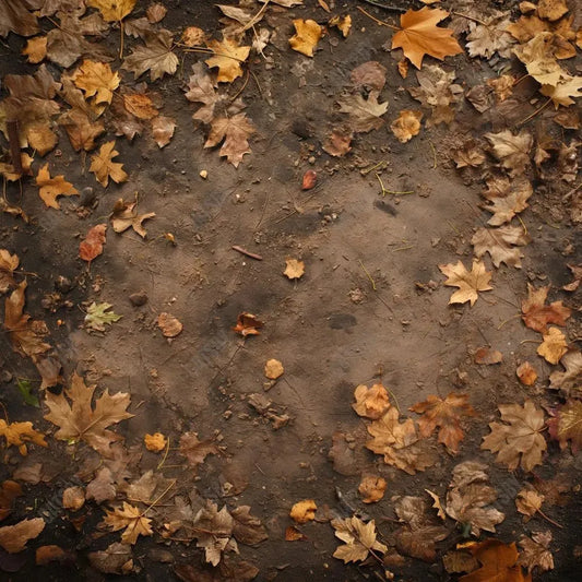 Gatsby Autumn Dirt Leaves Ground Photography Backdrop Gbsx-00945 - Gatsby Backdrop