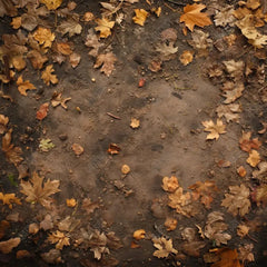 Gatsby Autumn Dirt Leaves Ground Photography Backdrop Gbsx-00945 - Gatsby Backdrop