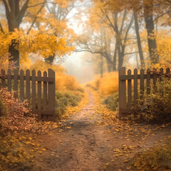 Gatsby Autumn Forest Trail Photography Backdrop GBSX-00107 - Gatsby Backdrop