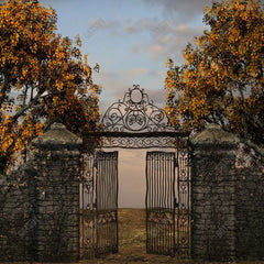 Gatsby Autumn Old Metal Gate Photography Backdrop Gbsx-00547 - Gatsby Backdrop