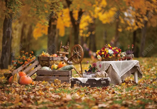 Gatsby Autumn Picnic Setup Photography Backdrop Gbsx-00838 - Gatsby Backdrop