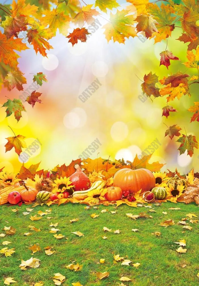 Gatsby Autumn Pumkins Maple Leaves Photography Backdrop Gbsx-00606 - Gatsby Backdrop