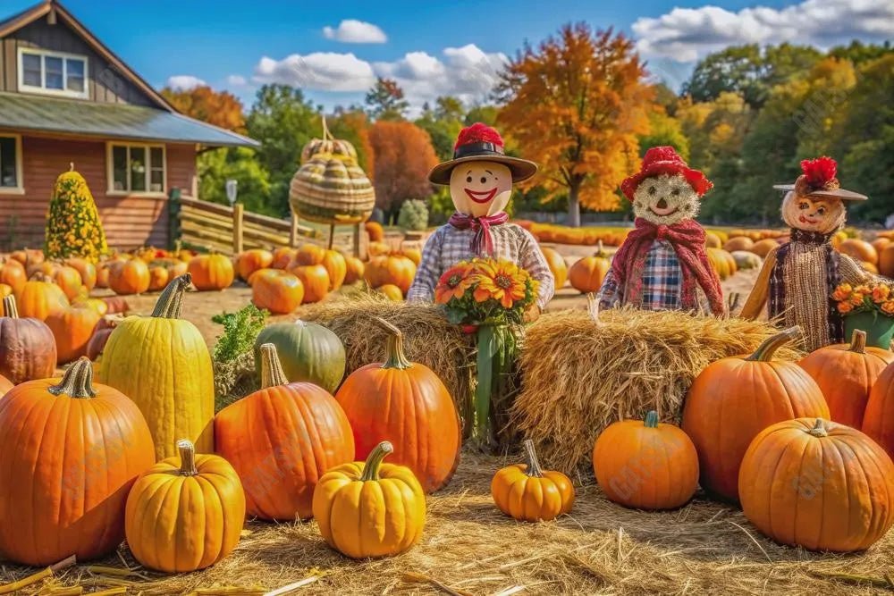 Gatsby Autumn Pumpkin Patch Farm Photography Backdrop Gbsx-00921 - Gatsby Backdrop