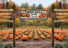 Gatsby Autumn Pumpkin Patch Field Photography Backdrop Gbsx-00514 - Gatsby Backdrop