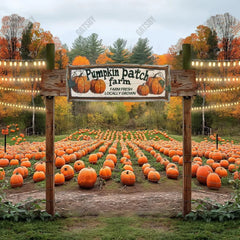 Gatsby Autumn Pumpkin Patch Field Photography Backdrop Gbsx-00514 - Gatsby Backdrop