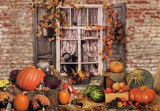 Gatsby Autumn Pumpkin Window Photography Backdrop Gbsx-00686 - Gatsby Backdrop