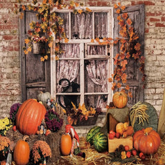 Gatsby Autumn Pumpkin Window Photography Backdrop Gbsx-00686 - Gatsby Backdrop