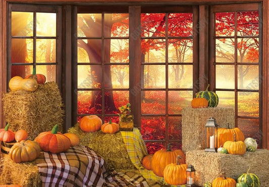 Gatsby Autumn Pumpkins Window Photography Backdrop GBSX-00170 - Gatsby Backdrop