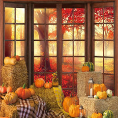 Gatsby Autumn Pumpkins Window Photography Backdrop GBSX-00170 - Gatsby Backdrop