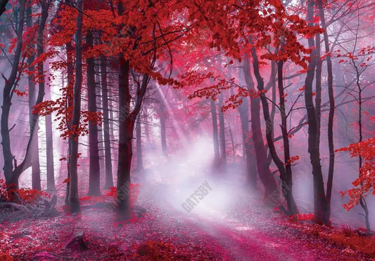 Gatsby Autumn Red Foggy Forest Photography Backdrop Gbsx-00613 - Gatsby Backdrop