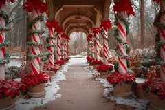 Gatsby Enchanted Sweet Candycane Peppermint Arched Road Photography Backdrop Gbsx-00989 - Gatsby Backdrop