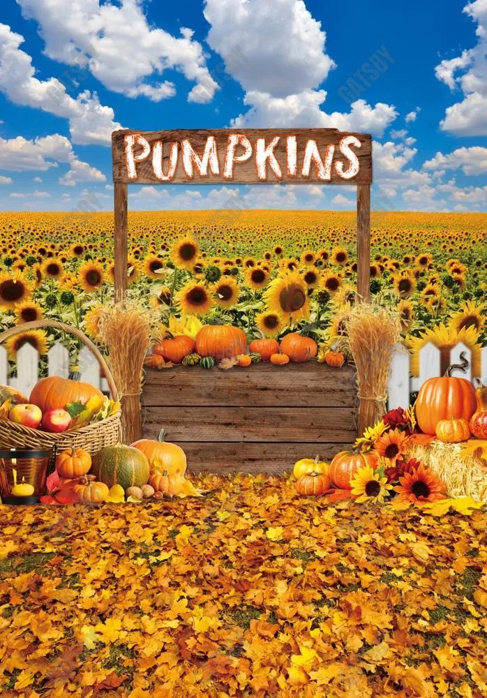 Gatsby Fall Pumpkin Patch Photography Backdrop GBSX-00183 - Gatsby Backdrop