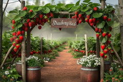 Gatsby Farm Strawberry Garden Photography Backdrop GBSX-00077 - Gatsby Backdrop