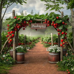 Gatsby Farm Strawberry Garden Photography Backdrop GBSX-00077 - Gatsby Backdrop