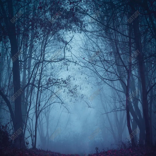 Gatsby Foggy Forest Night Photography Backdrop Gbsx-00545 - Gatsby Backdrop