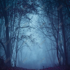 Gatsby Foggy Forest Night Photography Backdrop Gbsx-00545 - Gatsby Backdrop