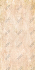 Gatsby Old Beige Texture Photography Backdrop Gbsx-00291 - Gatsby Backdrop