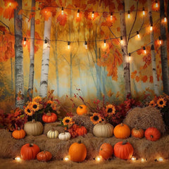 Gatsby Orange You A Pumpkin Photography Backdrop Gbsx-00434 - Gatsby Backdrop