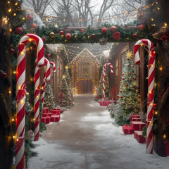 Gatsby Peppermint Holiday Path Photography Backdrop GBSX-00006 - Gatsby Backdrop