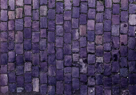 Gatsby Purple Stone Road Photography Backdrop Gbsx-00942 - Gatsby Backdrop