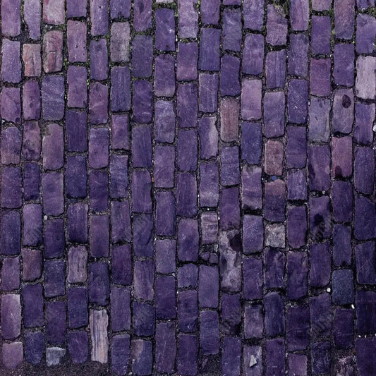 Gatsby Purple Stone Road Photography Backdrop Gbsx-00942 - Gatsby Backdrop