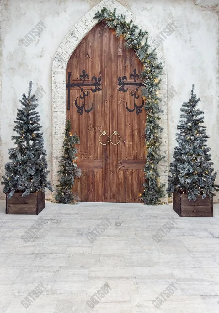 Gatsby Rustic Christmas Door Photography Backdrop Gbsx-00538 - Gatsby Backdrop