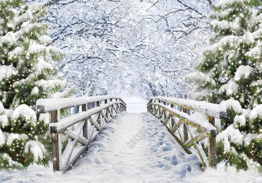 Gatsby Snowy Bridge Photography Backdrop Gbsx-00598 - Gatsby Backdrop