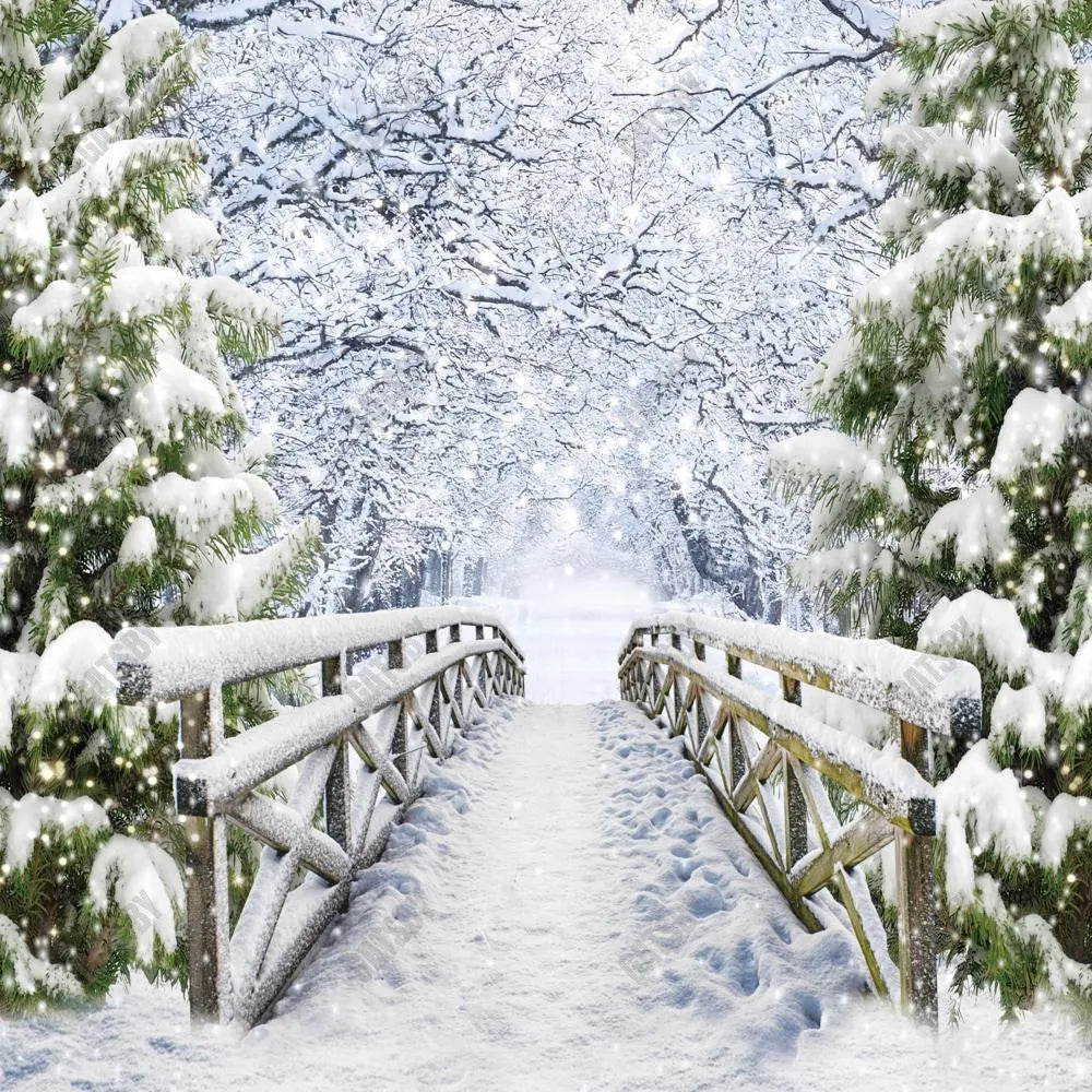 Gatsby Snowy Bridge Photography Backdrop Gbsx-00598 - Gatsby Backdrop