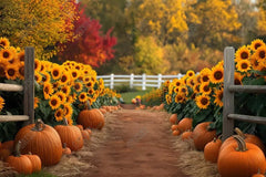 Gatsby Sunflower Farm Path Photography Backdrop Gbsx-00805 - Gatsby Backdrop