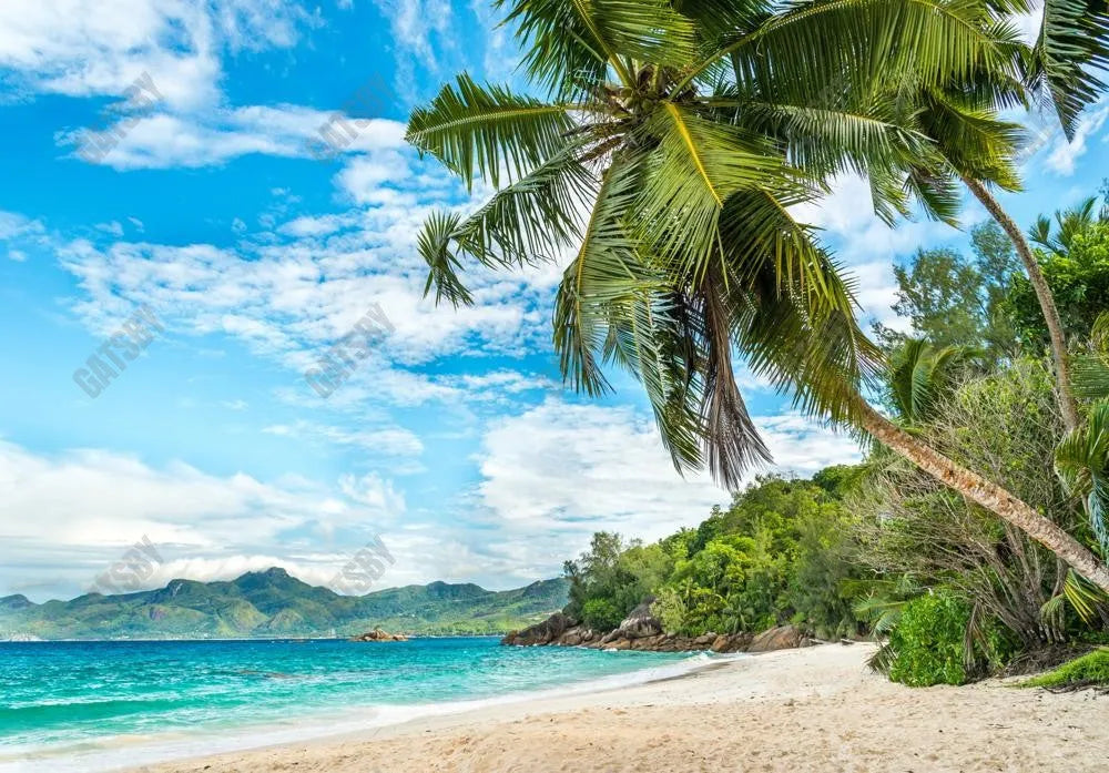 Gatsby Tropical Beach With Palm Photography Backdrop Gbsx-00396 - Gatsby Backdrop