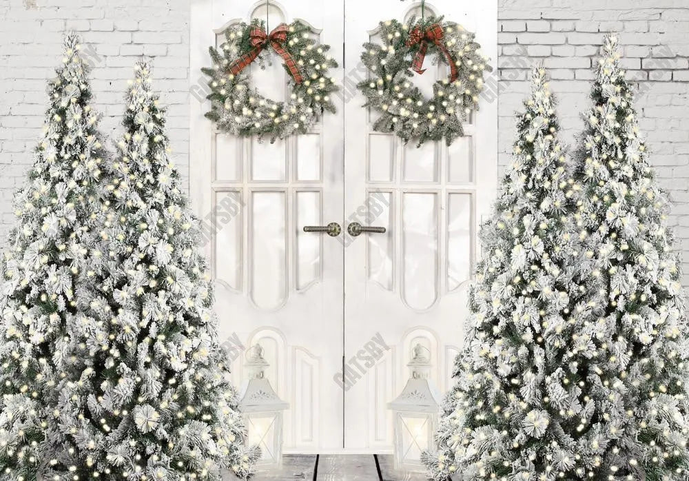 Gatsby White Winter Barn Door Photography Backdrop GBSX-00045 - Gatsby Backdrop