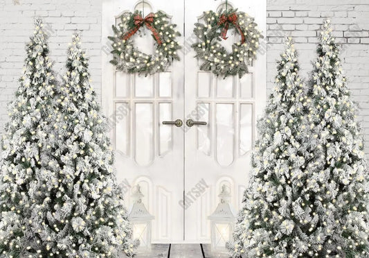 Gatsby White Winter Barn Door Photography Backdrop GBSX-00045 - Gatsby Backdrop