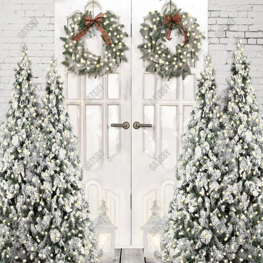 Gatsby White Winter Barn Door Photography Backdrop GBSX-00045 - Gatsby Backdrop