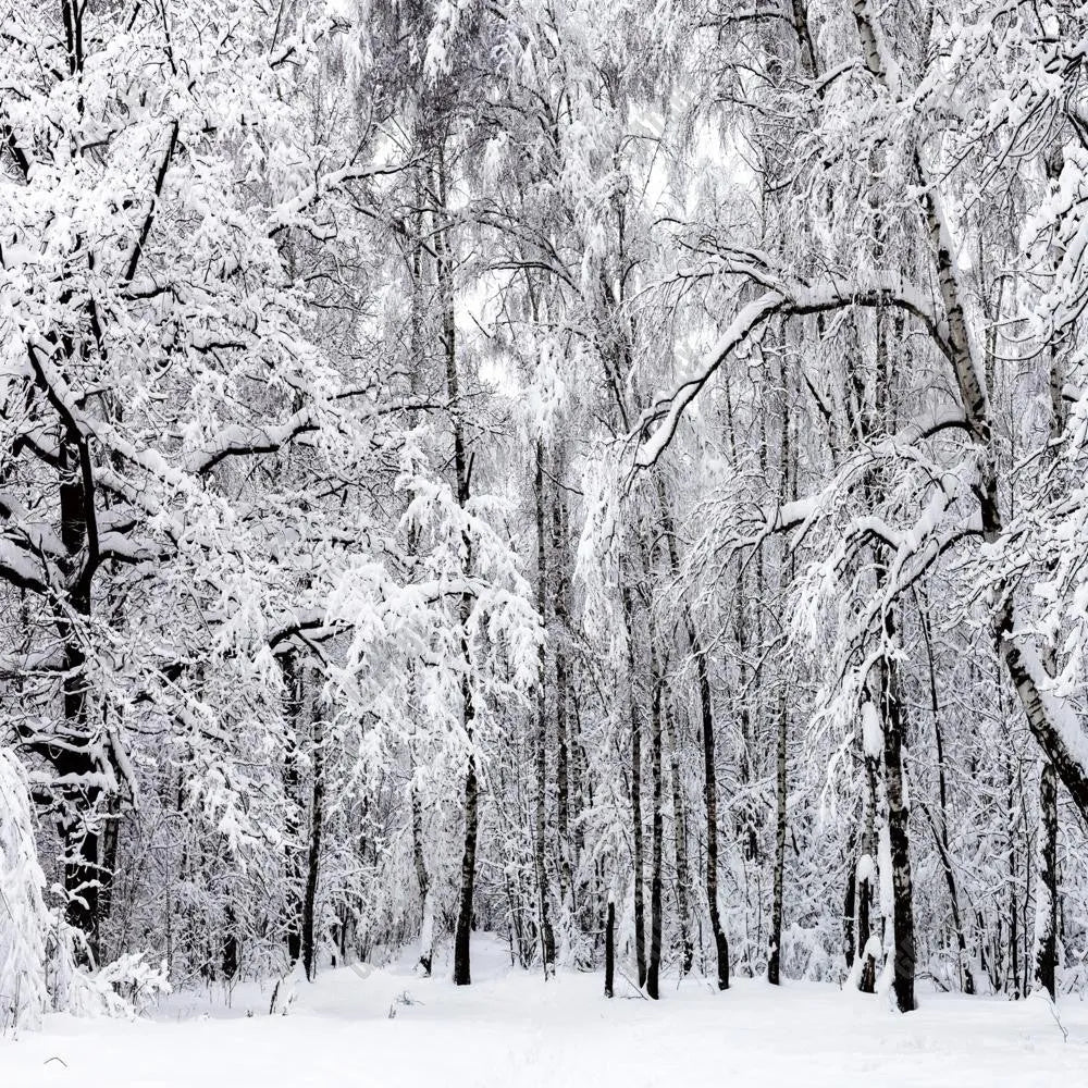 Gatsby White Winter Forest Photography Backdrop Gbsx-00827 - Gatsby Backdrop