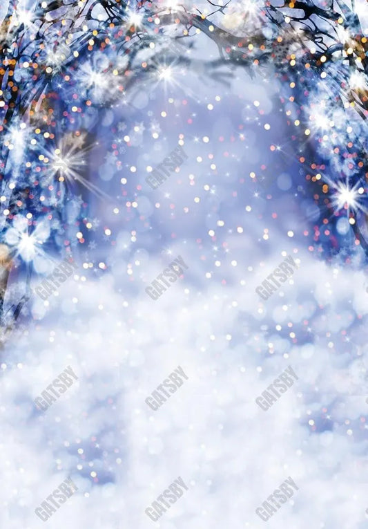 Gatsby Winter Blue Bokeh Arch Photography Backdrop Gbsx-00677 - Gatsby Backdrop