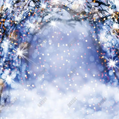 Gatsby Winter Blue Bokeh Arch Photography Backdrop Gbsx-00677 - Gatsby Backdrop