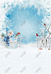 Gatsby Winter Snowman Photography Backdrop Gbsx-00681 - Gatsby Backdrop