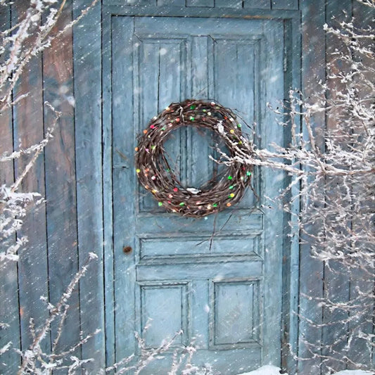 Gatsby Winter Snowy Door Photography Backdrop Gbsx-00544 - Gatsby Backdrop