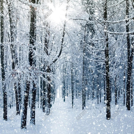 Gatsby Winter Snowy Forest Photography Backdrop Gbsx-00724 - Gatsby Backdrop