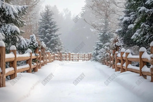 Gatsby Winter Snowy Path Photography Backdrop Gbsx-01050 - Gatsby Backdrop