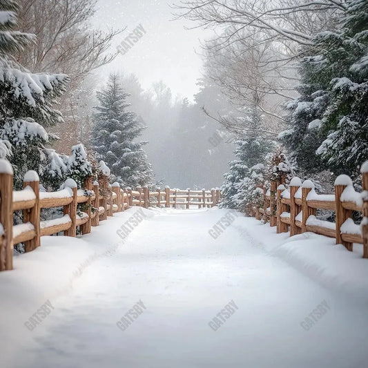 Gatsby Winter Snowy Path Photography Backdrop Gbsx-01050 - Gatsby Backdrop