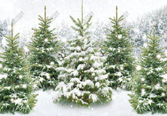 Gatsby Winter Wonderland Forest Photography Backdrop Gbsx-00596 - Gatsby Backdrop