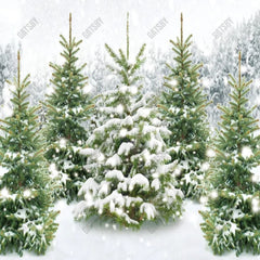 Gatsby Winter Wonderland Forest Photography Backdrop Gbsx-00596 - Gatsby Backdrop