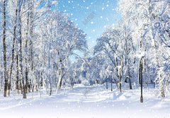 Gatsby Winter Wonderland Forest Photography Backdrop Gbsx-00733 - Gatsby Backdrop