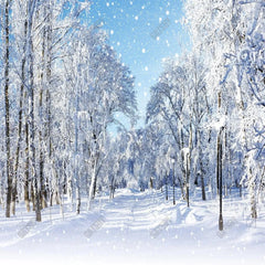 Gatsby Winter Wonderland Forest Photography Backdrop Gbsx-00733 - Gatsby Backdrop