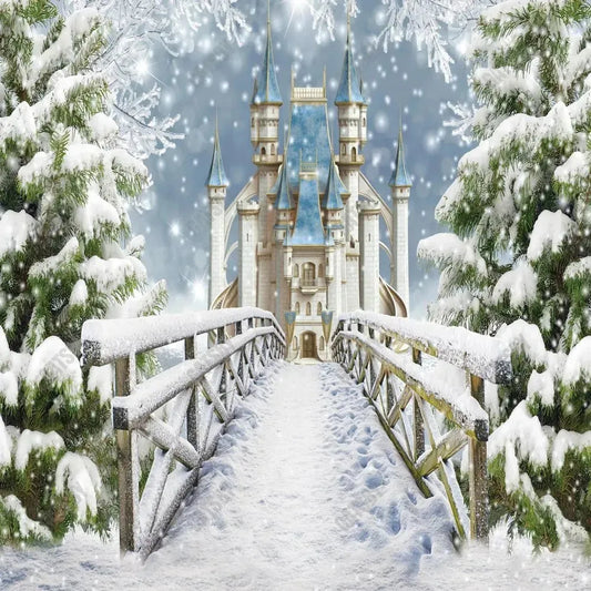 Gatsby Winter Wonderland Kingdom Princess Castle Photography Backdrop Gbsx-01065 - Gatsby Backdrop