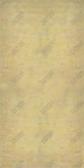 Gatsby Yellow And Beige Tones Photography Backdrop Gbsx-00269 - Gatsby Backdrop